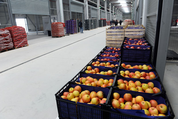 Београдски кванташ по светским стандардима  (ФОТО / ВИДЕО)